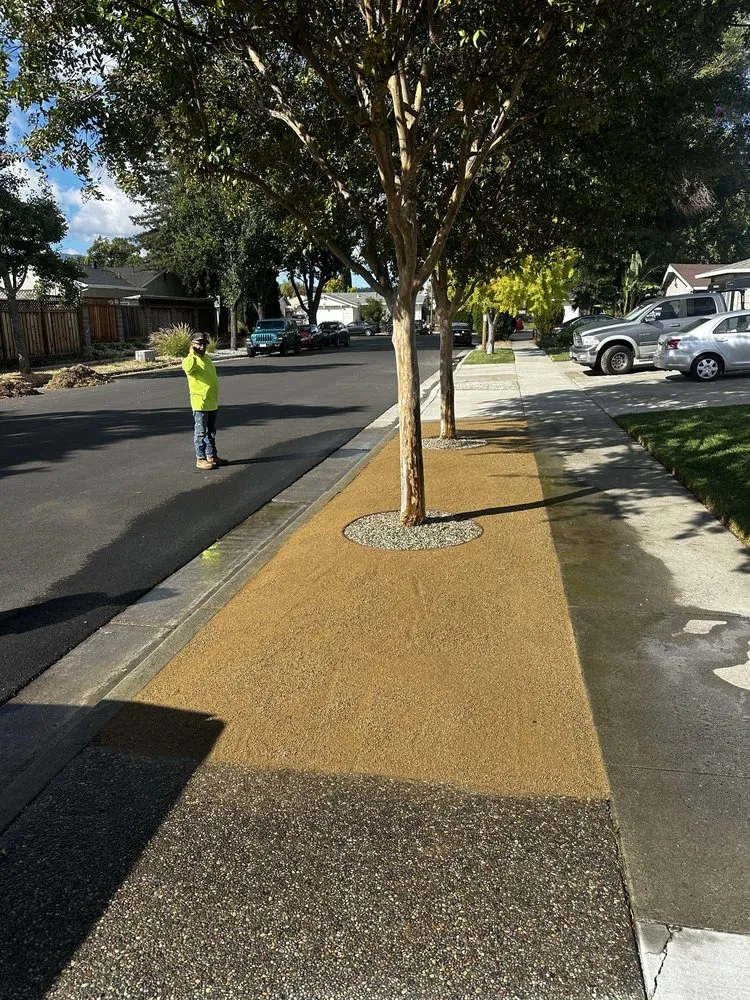 Reliable lawn mowing service in San Jose, CA - Agosto Landscaping