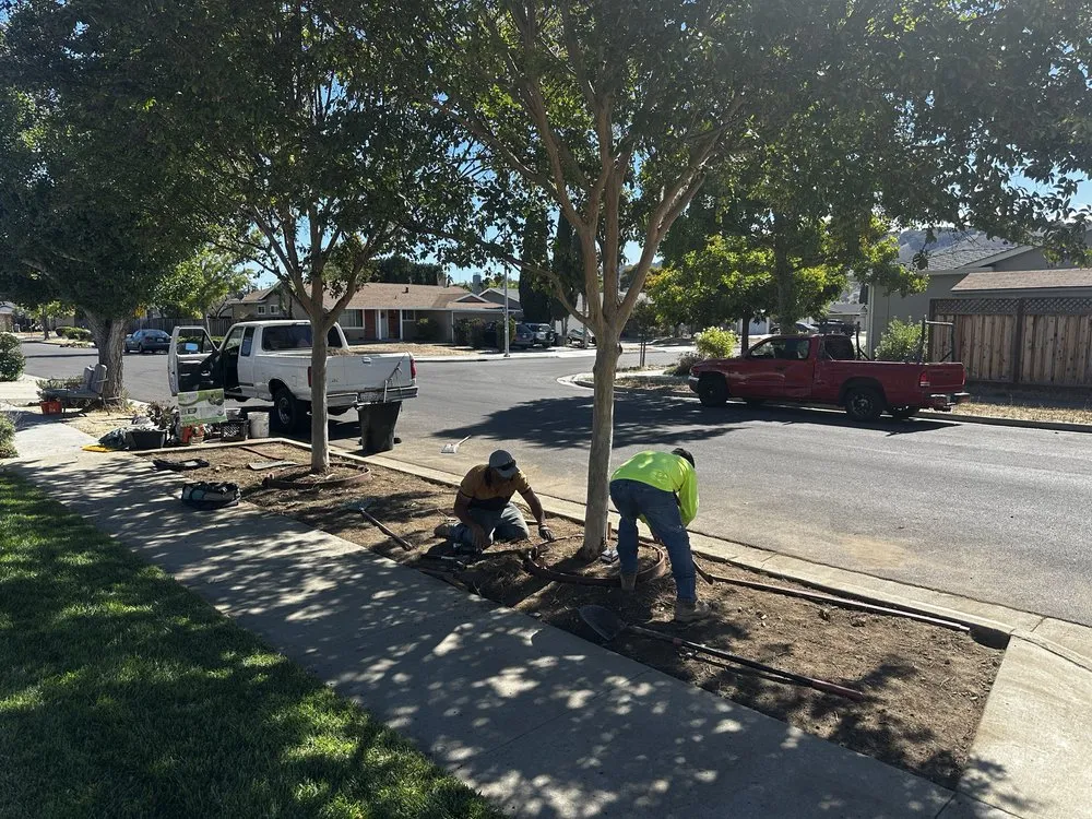 Expert landscaping services for beautiful yards across San Jose, CA - Agosto Landscaping