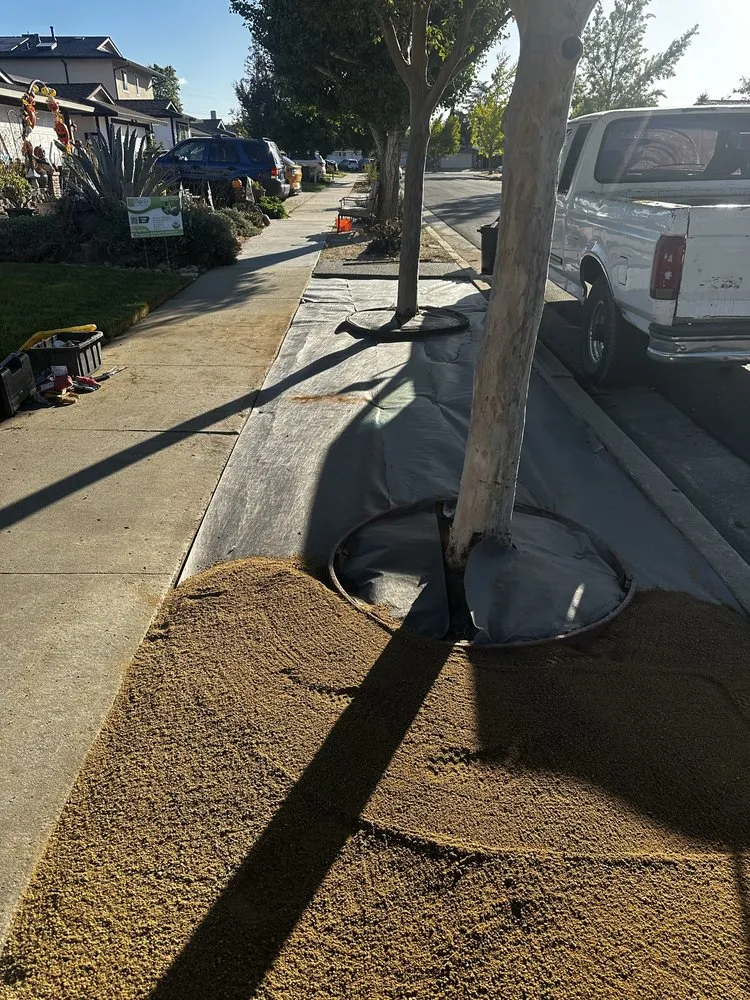 Reliable residential landscaping in San Jose, CA - Agosto Landscaping