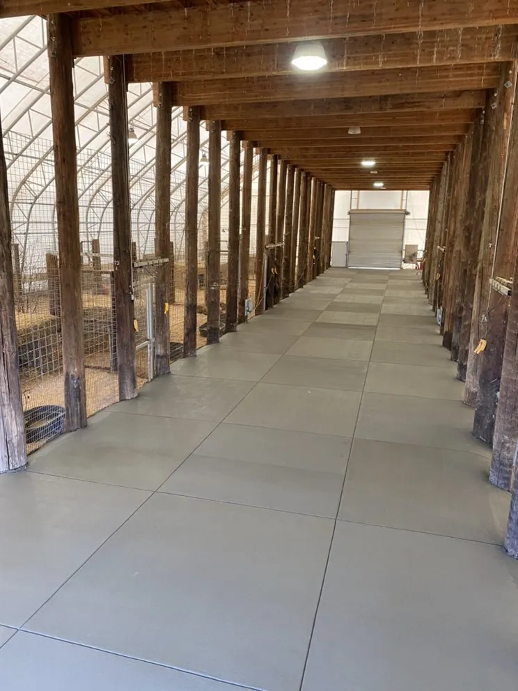 Expert lawn care service in Denver, CO by AGR Landscape & Construction