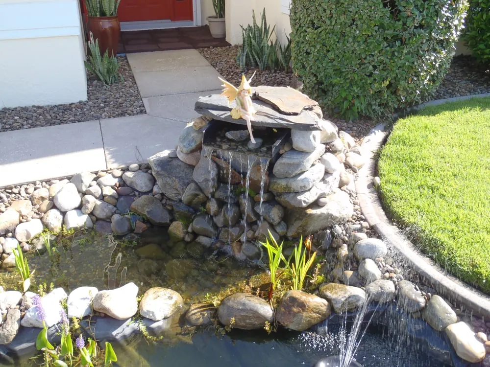 Affordable yard cleanup service for year-round maintenance in Orlando, FL by Agrarian Land and Pond