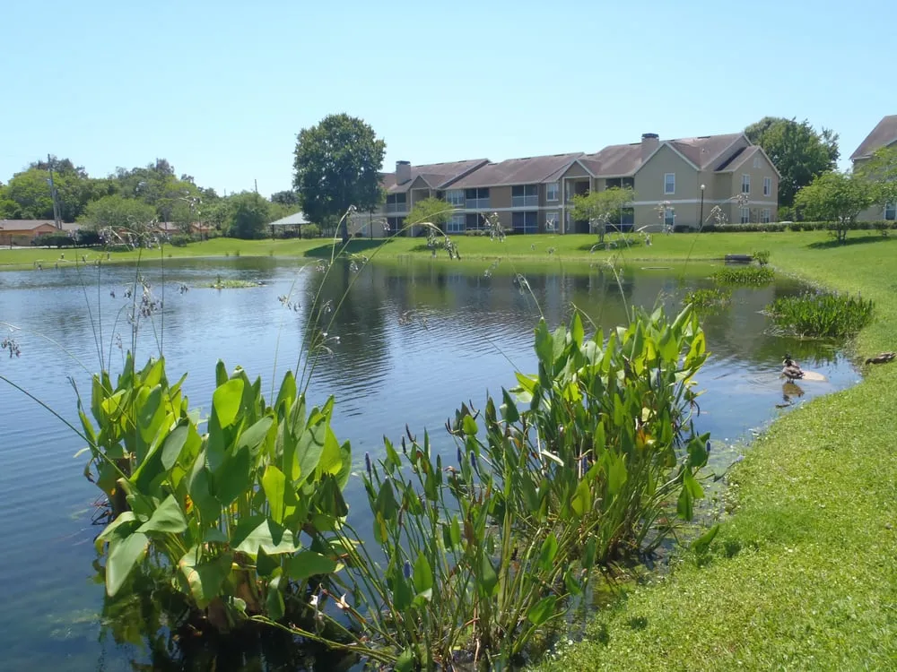 Local outdoor landscaping in Orlando, FL by Agrarian Land and Pond