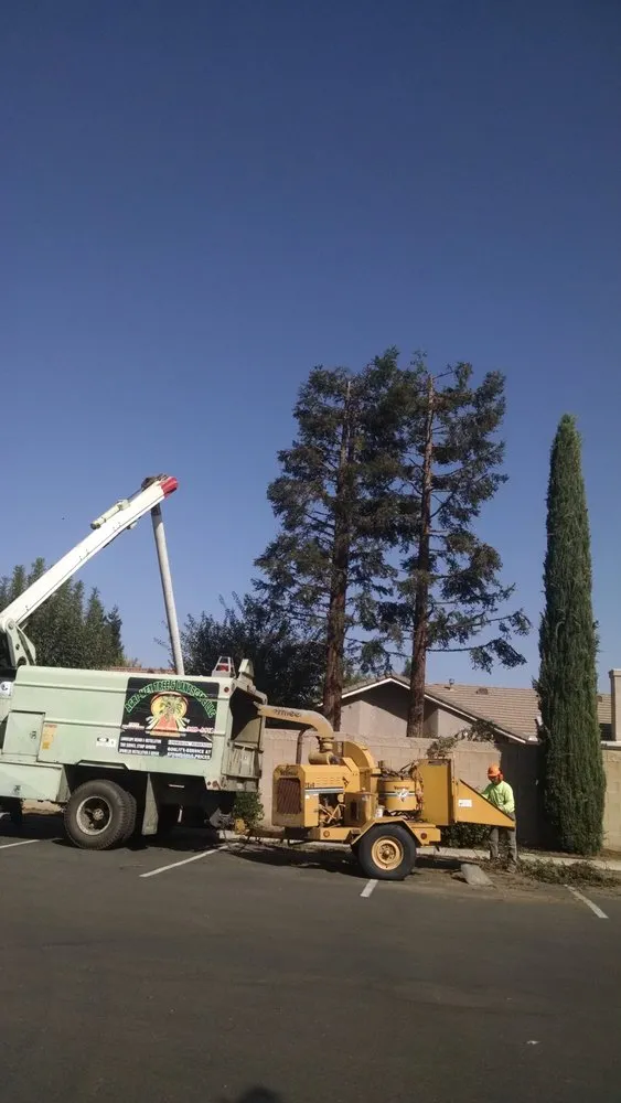 Reliable landscape design for beautiful yards across Merced, CA - Agri-Mex Tree & Landscape