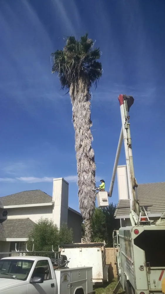 Custom landscape design experts serving Merced, CA - Agri-Mex Tree & Landscape