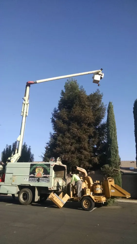 Top-rated lawn care service in Merced, CA - Agri-Mex Tree & Landscape