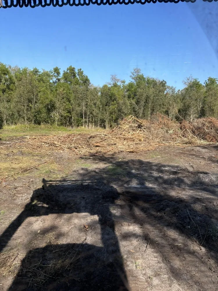 Top-rated yard cleanup service with custom design across Naples, FL - Agri Pro Systems