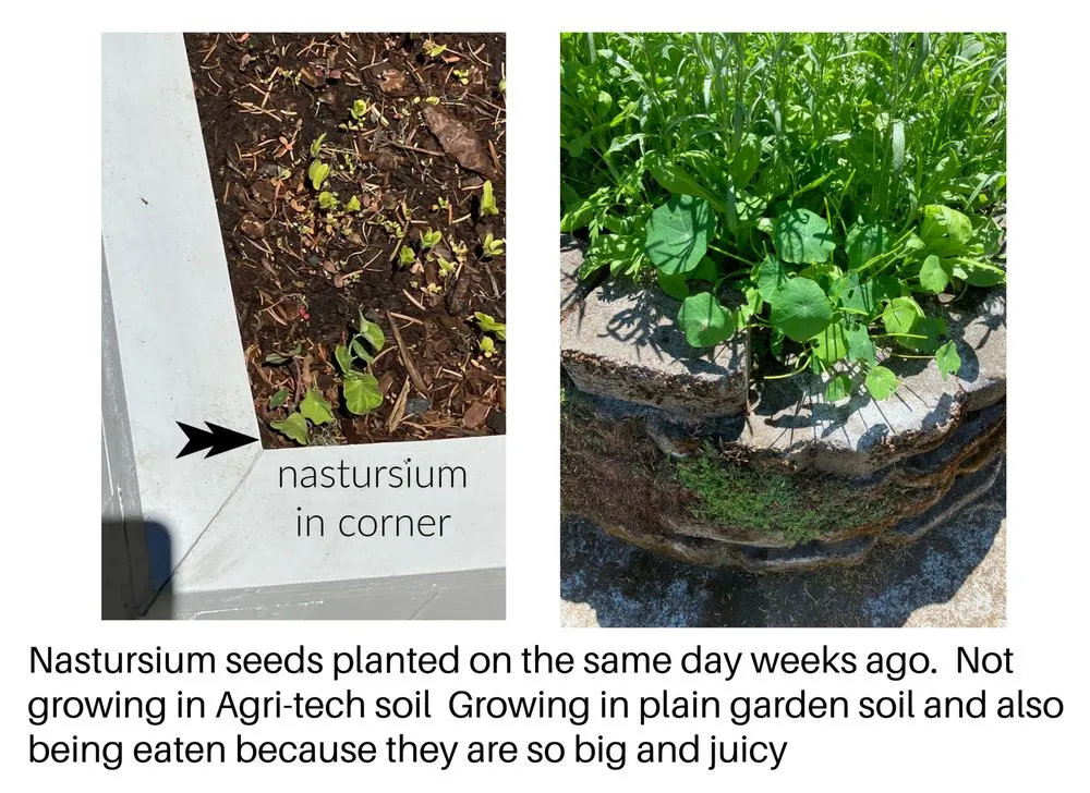 Expert outdoor landscaping in Coos Bay, OR by Agri-Tech Design