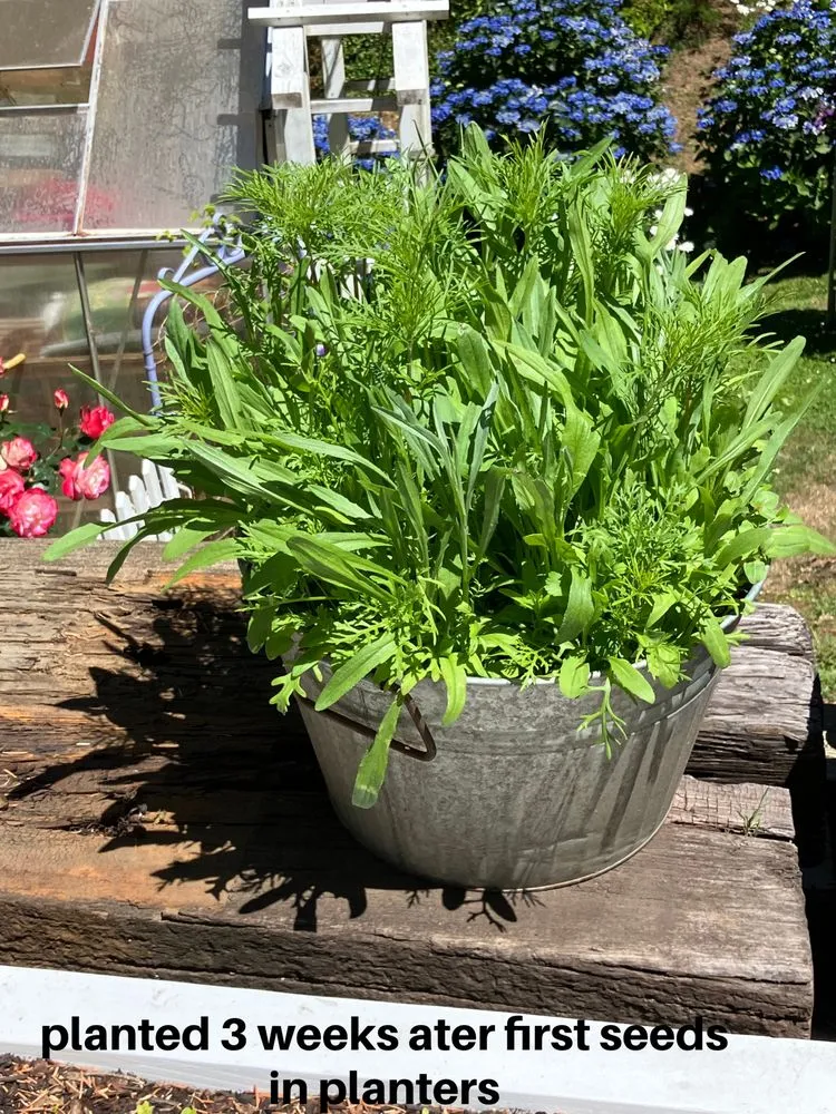 Affordable garden landscaping in Coos Bay, OR - Agri-Tech Design