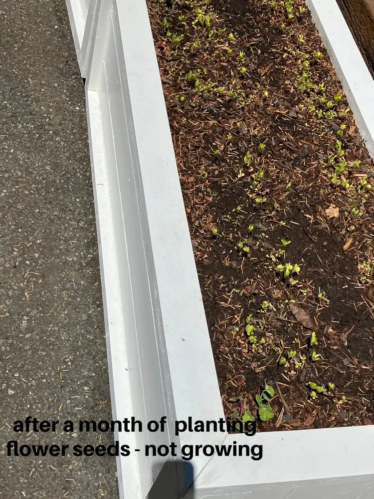 Expert yard maintenance in Coos Bay, OR by Agri-Tech Design