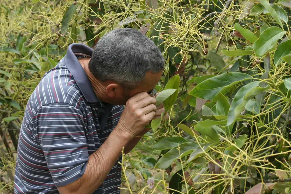 Local residential landscaping for beautiful yards across Santa Barbara, CA - Agri-Turf Supplies