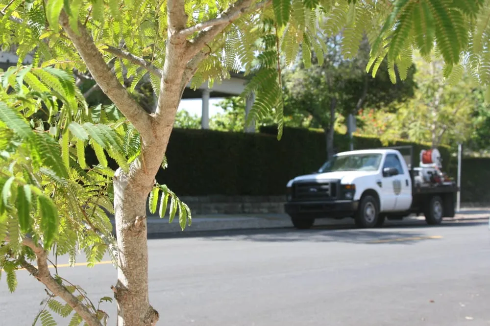 Top-rated landscape design in Santa Barbara, CA - Agri-Turf Supplies