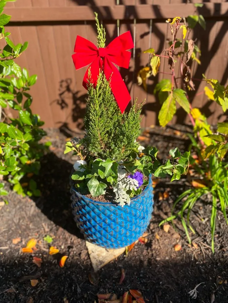 Professional residential landscaping for year-round maintenance across Terrell, TX - Agriculture Ranching