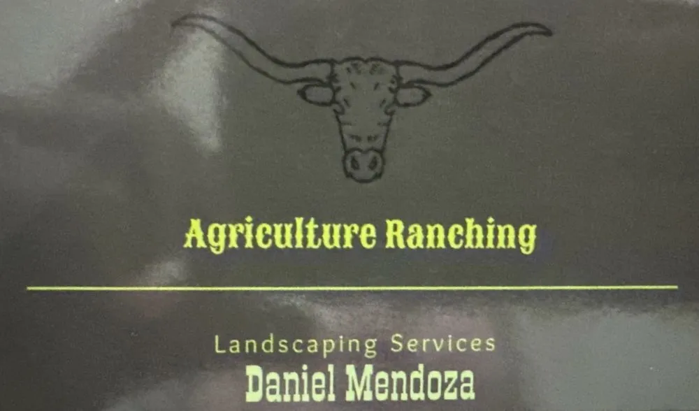 Custom yard maintenance in Terrell, TX by Agriculture Ranching