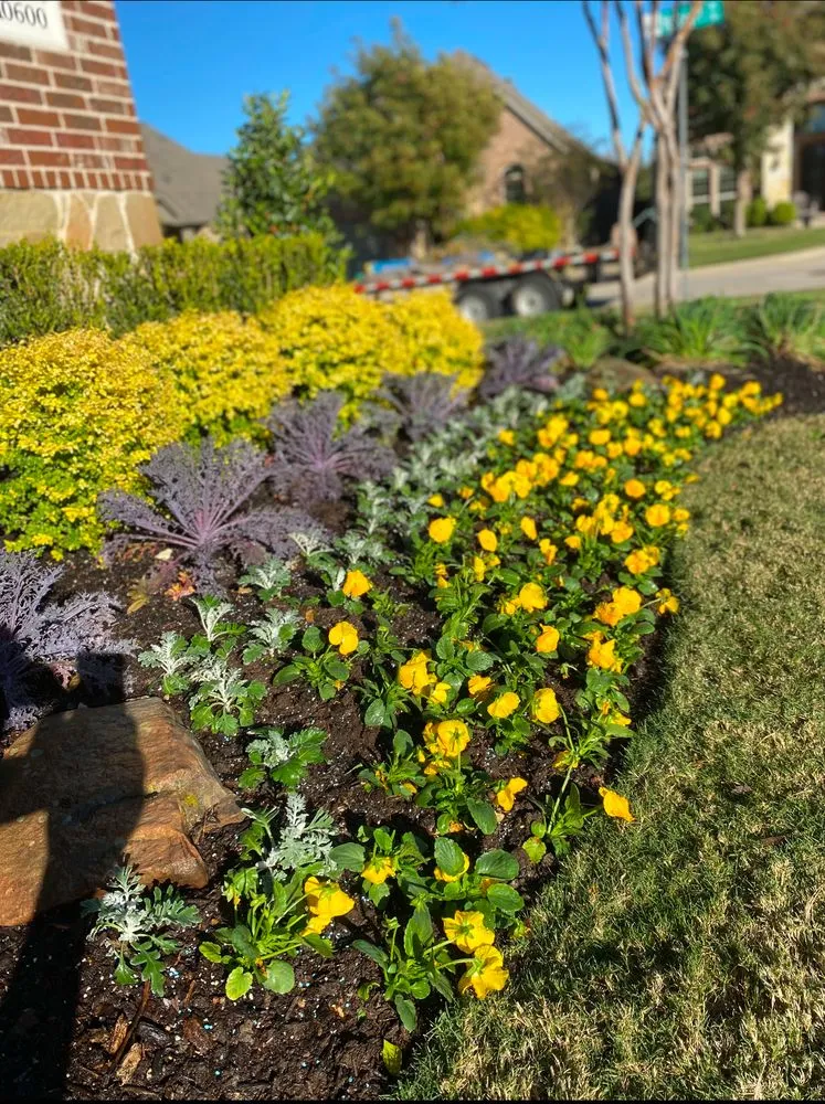 Top-rated residential landscaping in Terrell, TX by Agriculture Ranching