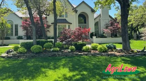 Reliable yard cleanup service experts serving Oklahoma City, OK - AgriLawn