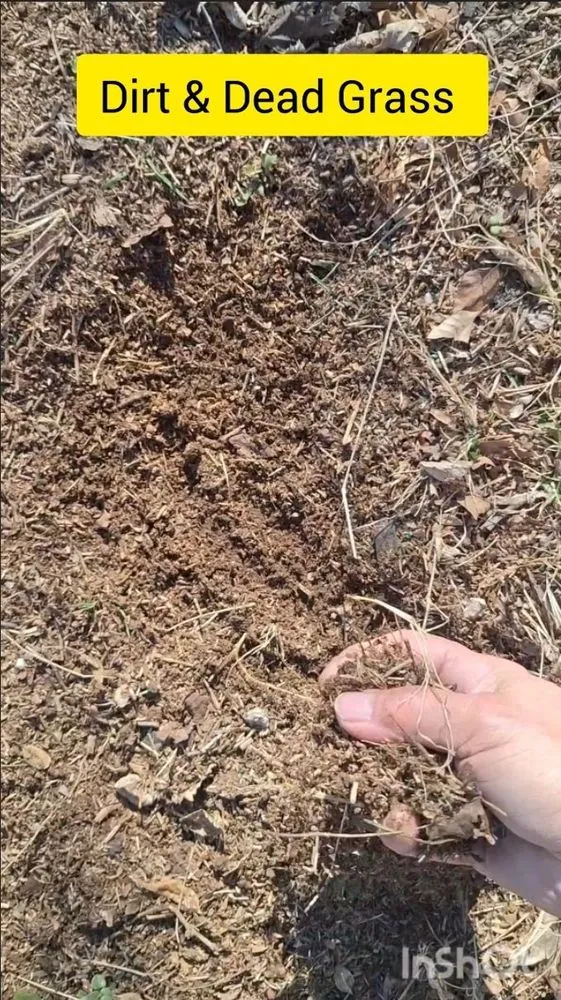 Reliable yard maintenance for beautiful yards in Oklahoma City, OK by AgriLawn