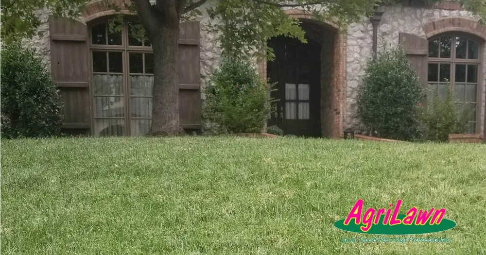 Local yard maintenance in Oklahoma City, OK by AgriLawn