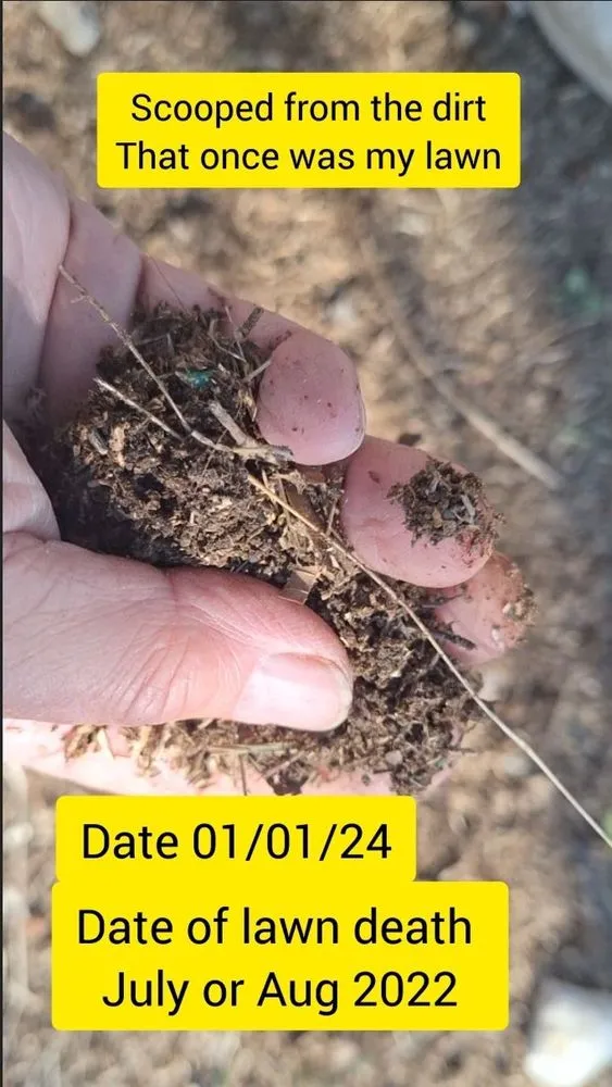 Trusted outdoor landscaping in Oklahoma City, OK by AgriLawn