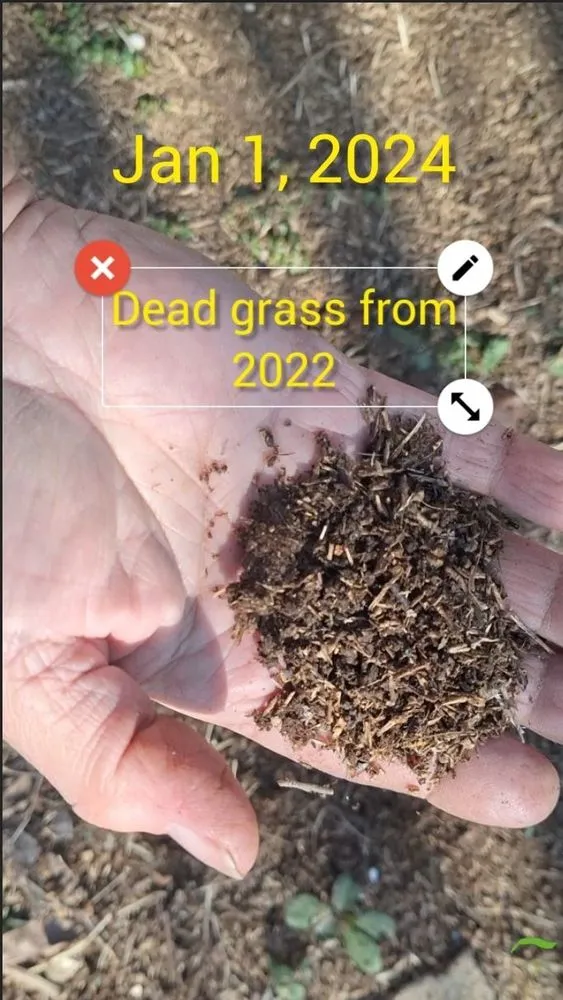 Expert yard maintenance for outdoor upgrades in Oklahoma City, OK by AgriLawn