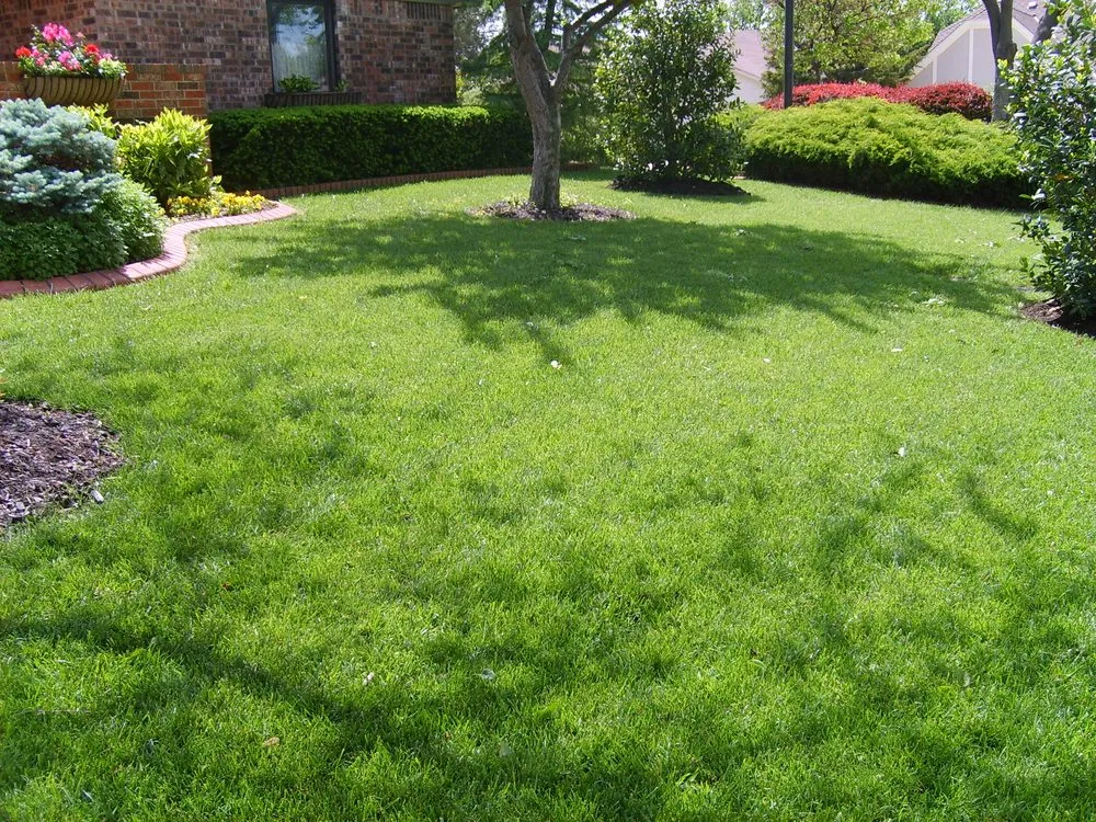 Trusted yard cleanup service for outdoor upgrades in Oklahoma City, OK by AgriLawn