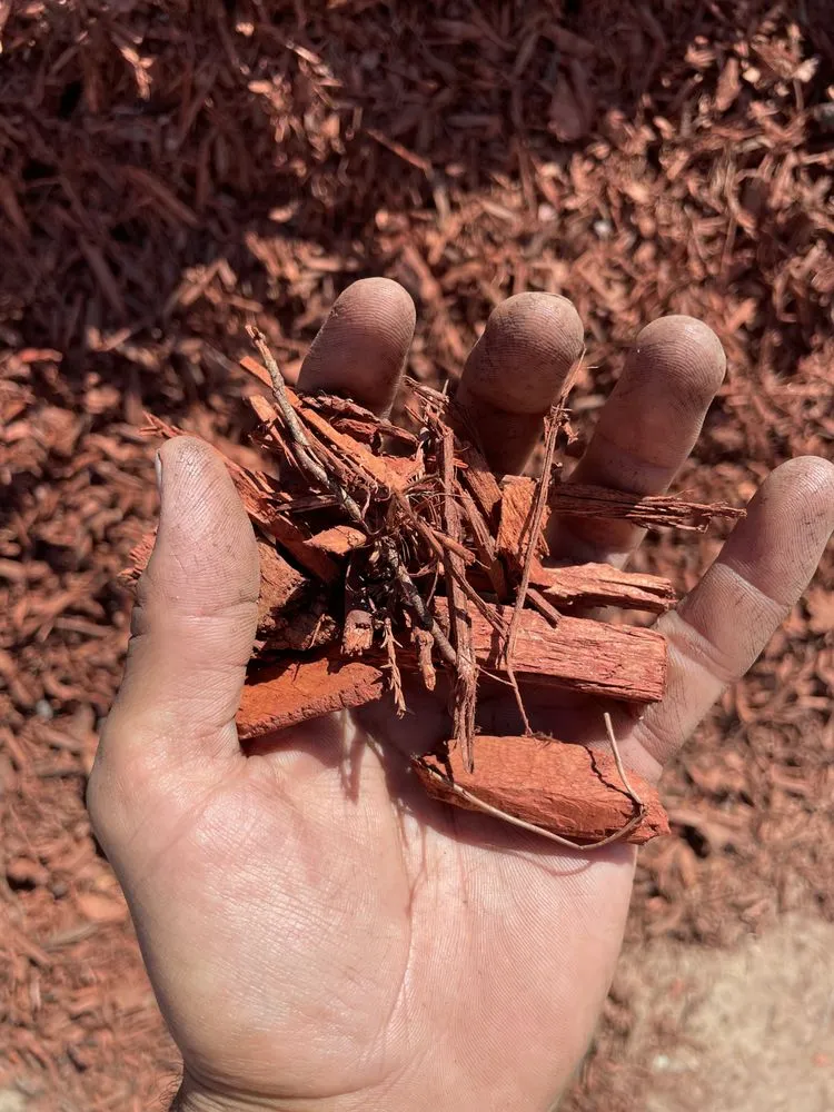 Local lawn mowing service in Murrieta, CA - Agriscape