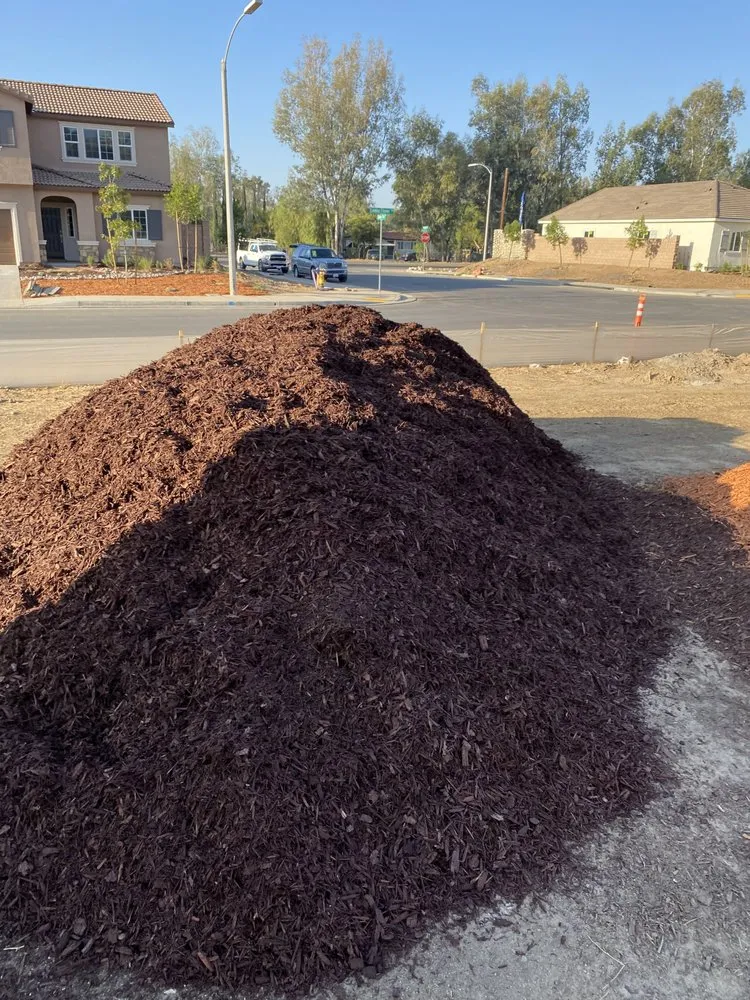 Affordable yard cleanup service for outdoor upgrades in Murrieta, CA by Agriscape