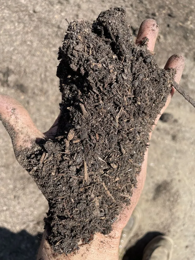 Affordable lawn care service in Murrieta, CA by Agriscape