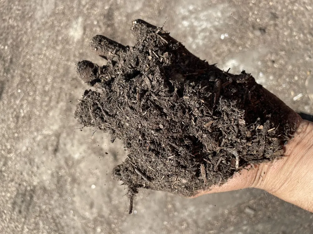 Custom outdoor landscaping in Murrieta, CA by Agriscape