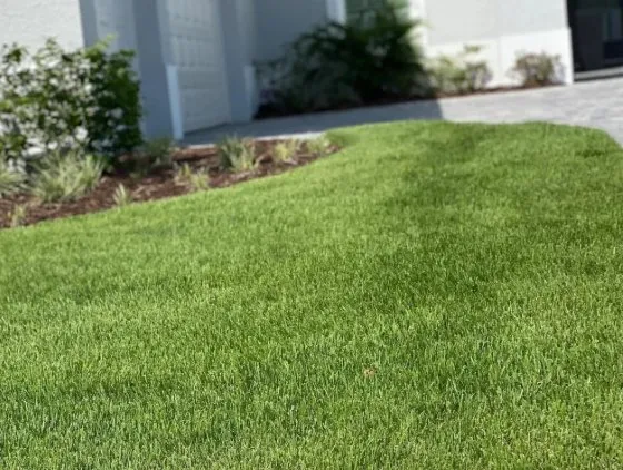Professional landscape design with custom design in Arcadia, FL by Agriscape Sod Service