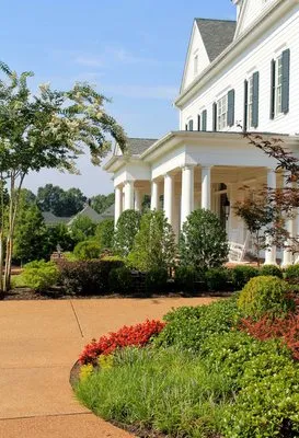 AgriScapes Landscape & Irrigation