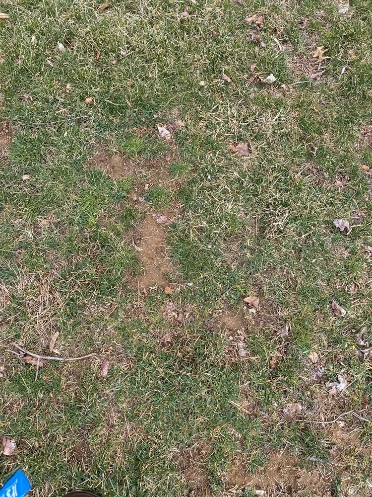 Local outdoor landscaping for homes across Freehold, NJ - Agritech Turf Maintenance