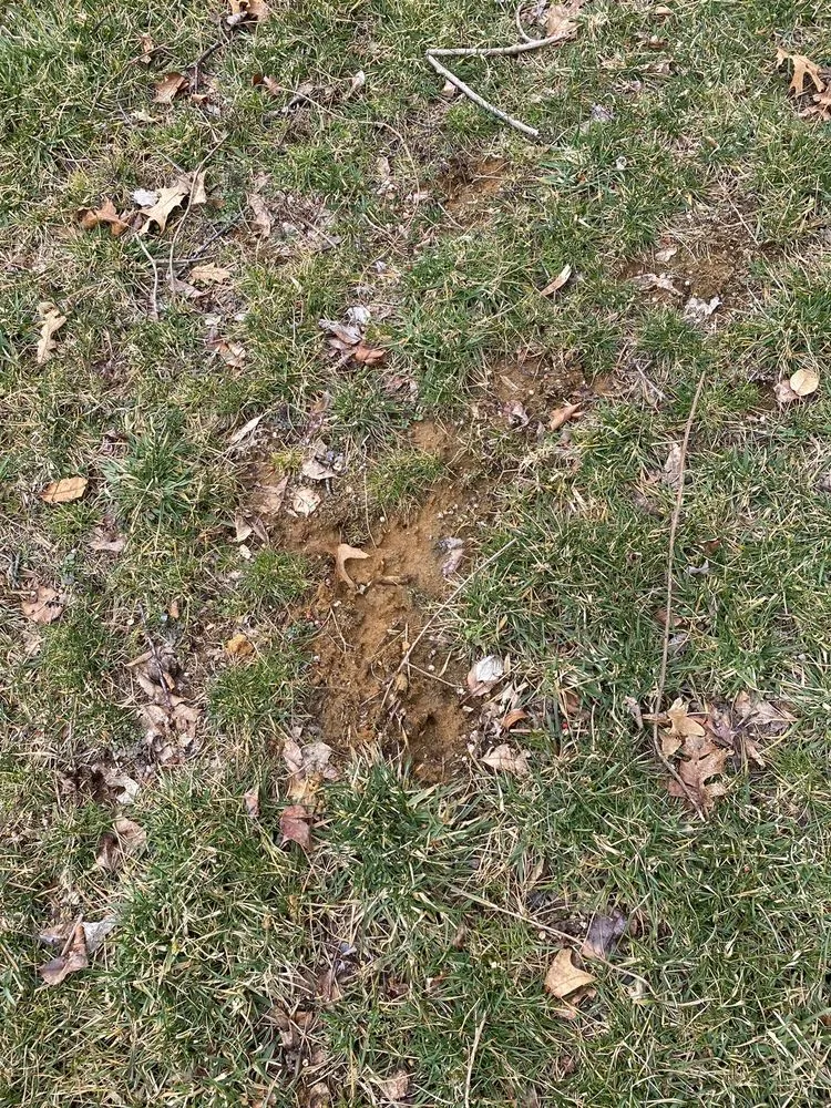 Expert residential landscaping in Freehold, NJ - Agritech Turf Maintenance