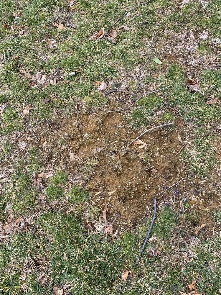 Affordable landscaping services experts serving Freehold, NJ - Agritech Turf Maintenance