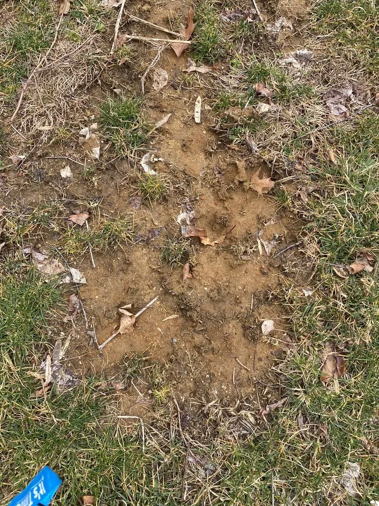 Professional residential landscaping for homes across Freehold, NJ - Agritech Turf Maintenance