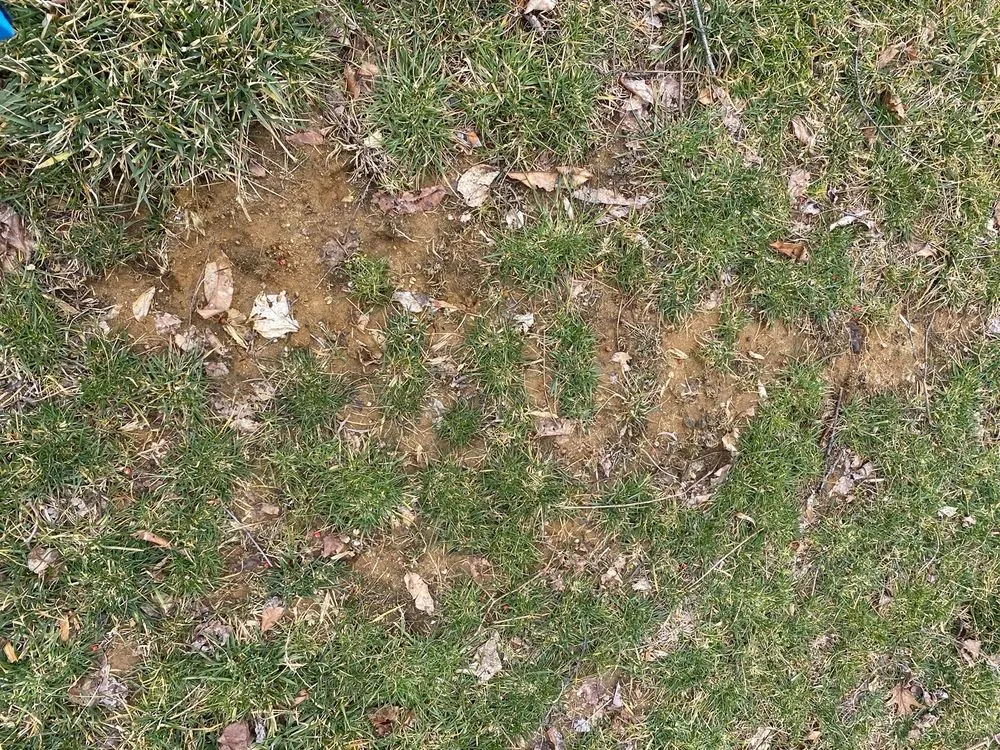 Reliable residential landscaping in Freehold, NJ - Agritech Turf Maintenance