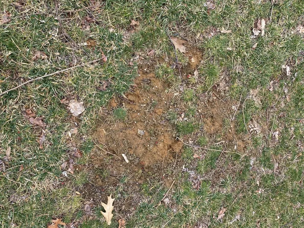 Professional residential landscaping experts serving Freehold, NJ - Agritech Turf Maintenance