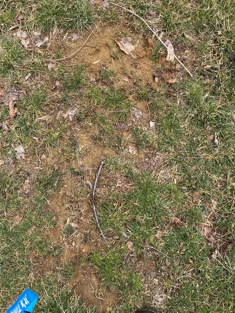 Expert outdoor landscaping in Freehold, NJ by Agritech Turf Maintenance