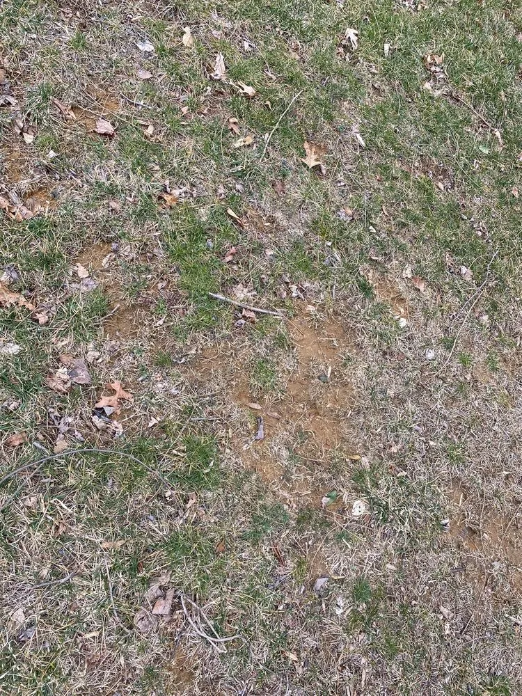 Top-rated lawn care service with custom design in Freehold, NJ by Agritech Turf Maintenance