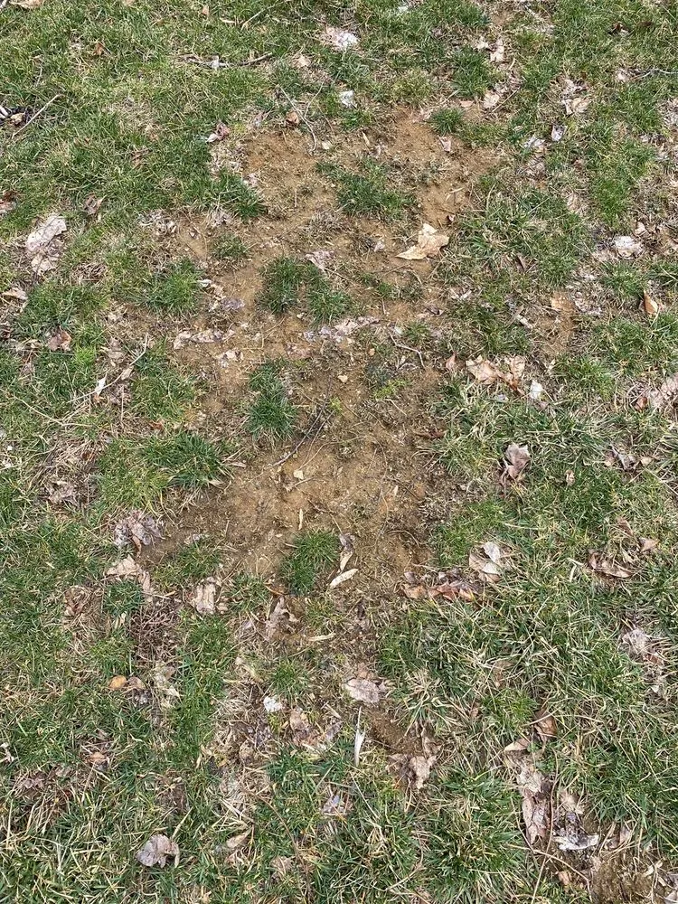 Affordable lawn care service with custom design in Freehold, NJ by Agritech Turf Maintenance