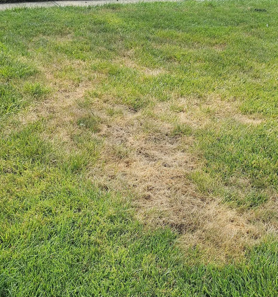 Trusted lawn mowing service in Freehold, NJ - Agritech Turf Maintenance