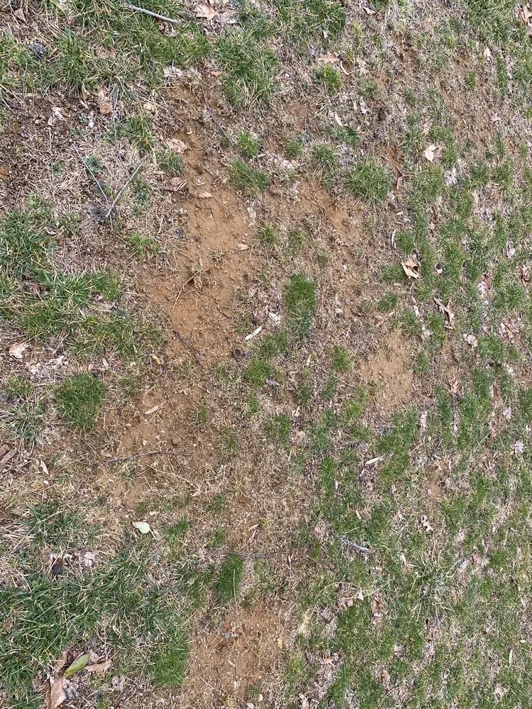 Professional lawn care service in Freehold, NJ - Agritech Turf Maintenance