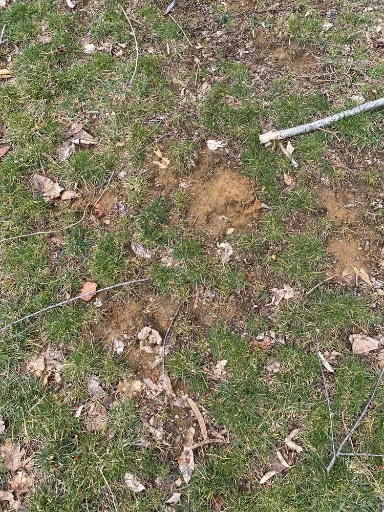 Professional landscaping services experts serving Freehold, NJ - Agritech Turf Maintenance