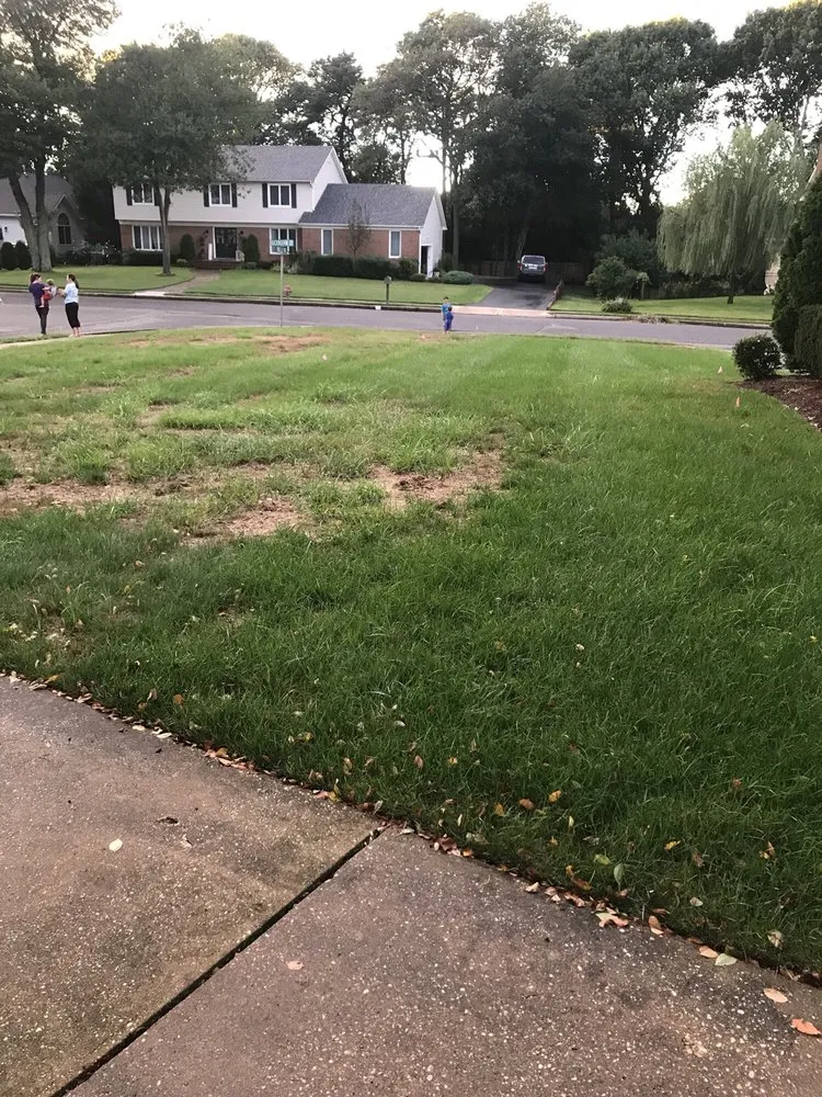 Top-rated outdoor landscaping for outdoor upgrades in Freehold, NJ by Agritech Turf Maintenance