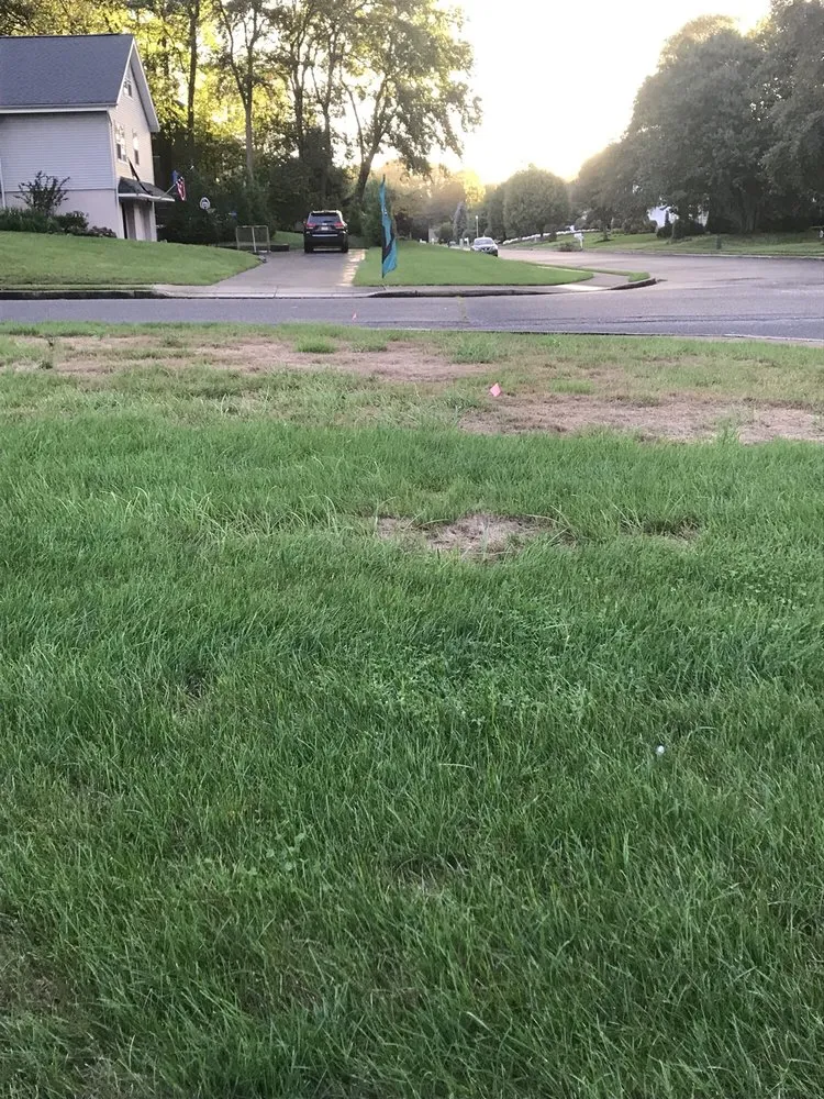 Trusted garden landscaping near you across Freehold, NJ - Agritech Turf Maintenance