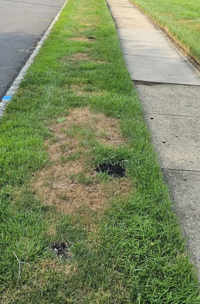 Expert lawn care service with custom design across Freehold, NJ - Agritech Turf Maintenance