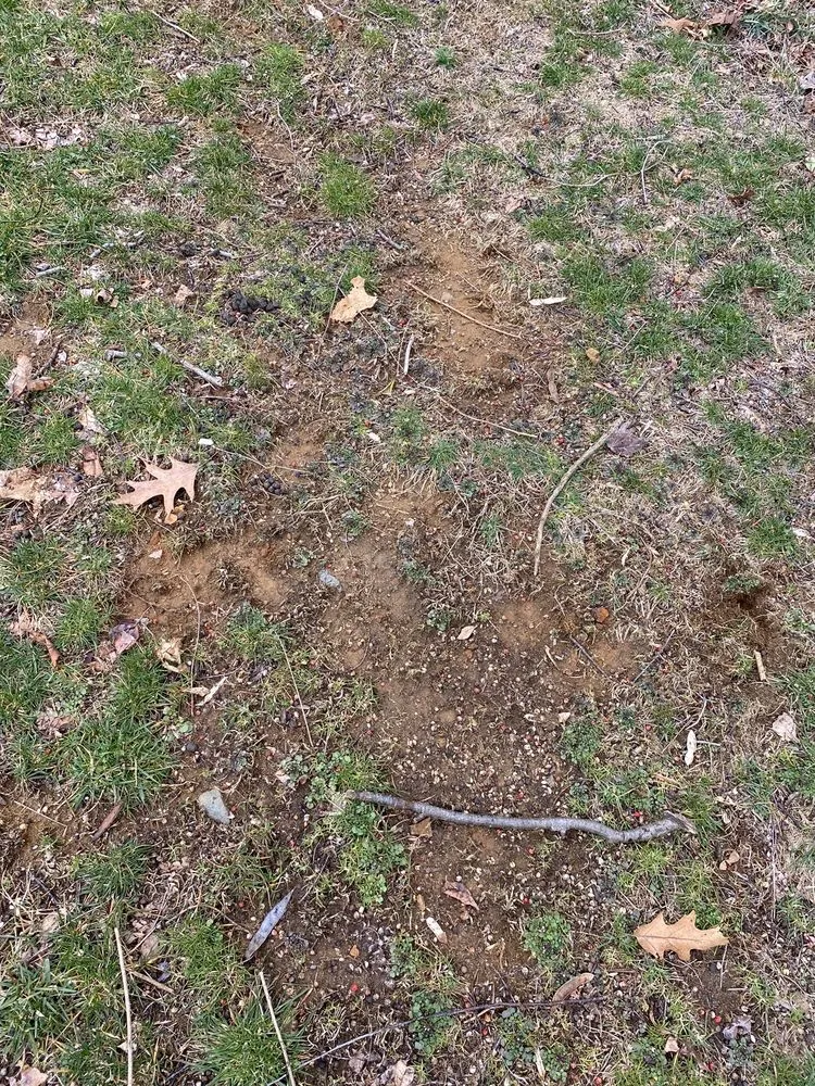 Custom landscape design for beautiful yards in Freehold, NJ by Agritech Turf Maintenance