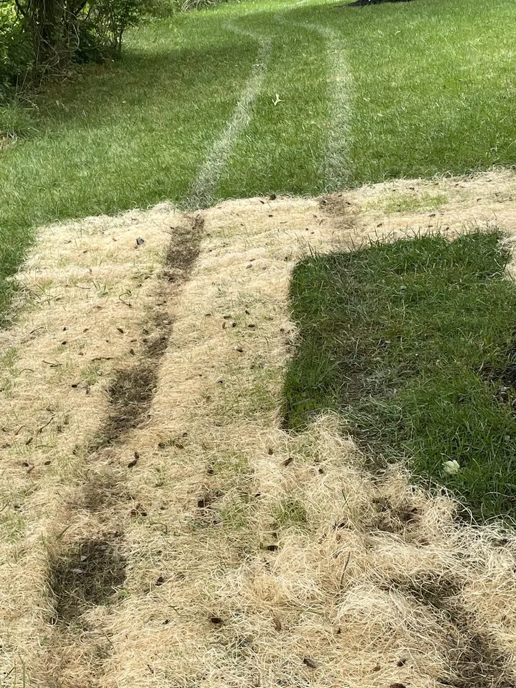 Top-rated outdoor landscaping in Elkridge, MD by Agro Lawn