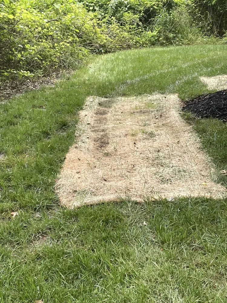 Trusted lawn mowing service for outdoor upgrades across Elkridge, MD - Agro Lawn