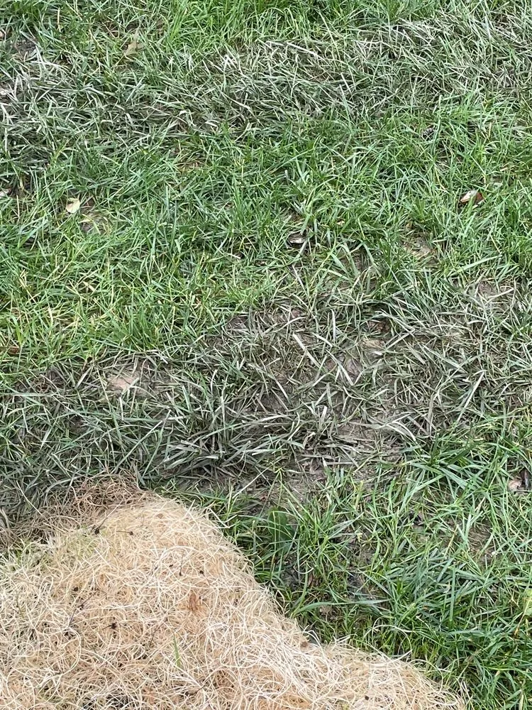 Expert landscape installation experts serving Elkridge, MD - Agro Lawn