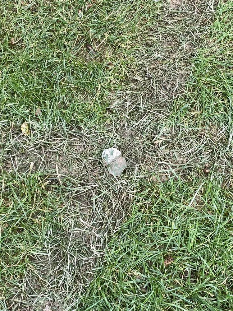 Local landscaping services in Elkridge, MD by Agro Lawn